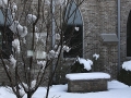 Interior Courtyard